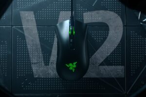 Best Gaming mouse for fortnite Razer DeathAdder v2