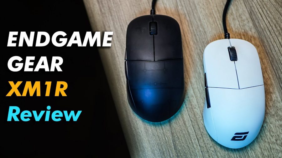 Endgame Gear XM1 Review 2021-22 | Best Gaming Mouse (Guide)