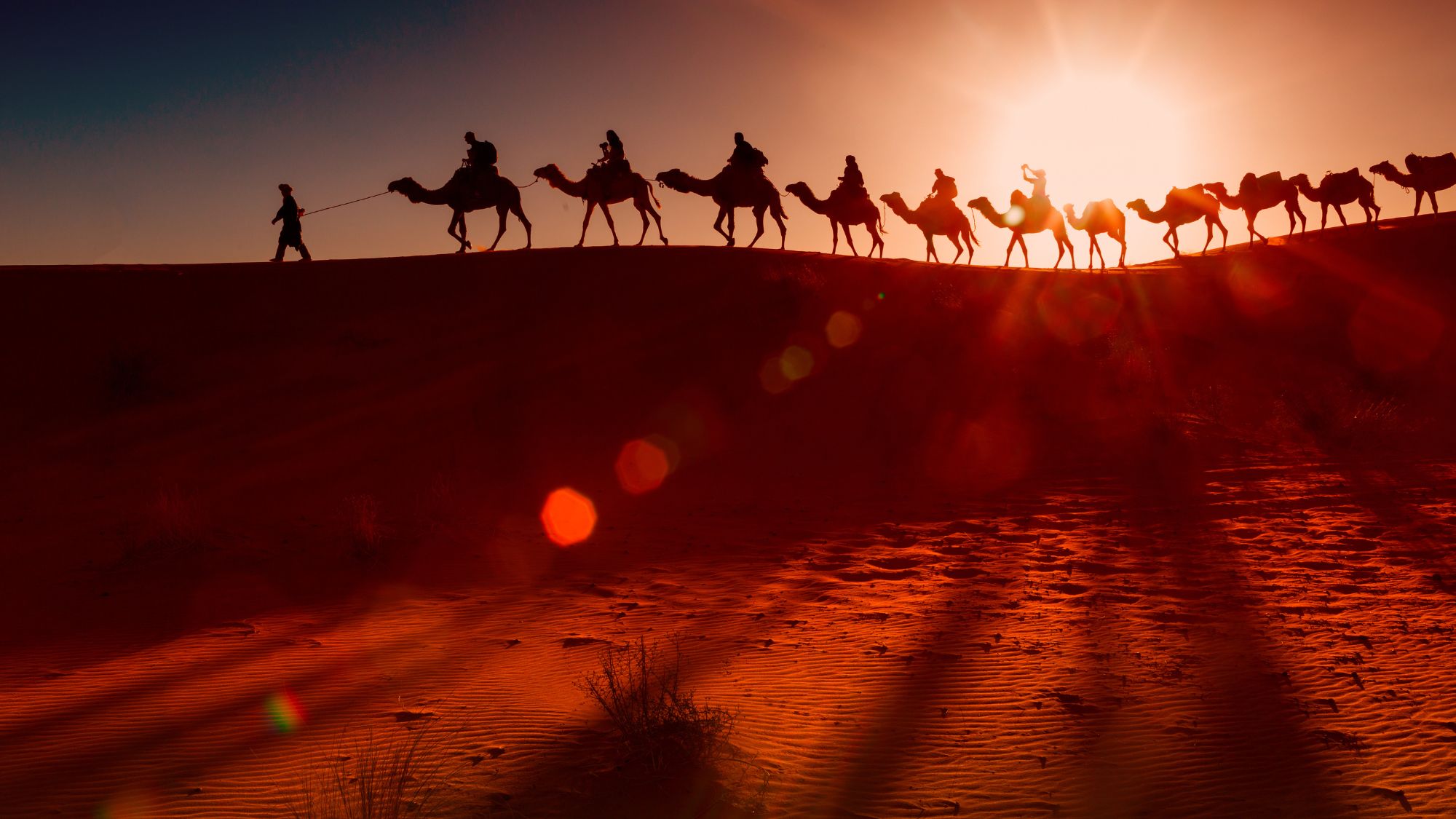 Travelers on camels exploring the Saudi Arabian desert.